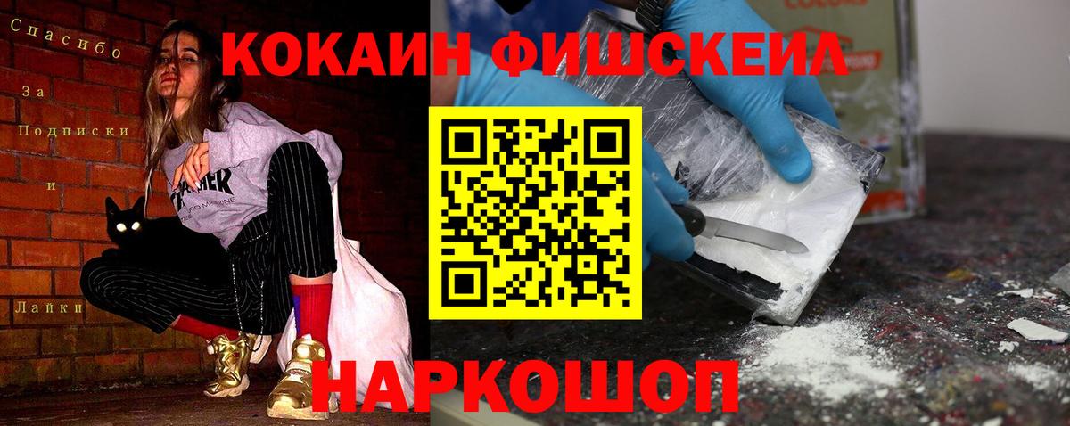 Cocaine Fish Scale  купить   Вход с VPN  Кизляр  COCAIN VHQ 