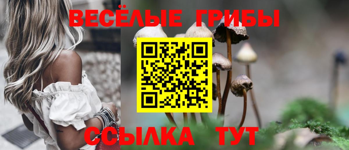 Галлюциногенные грибы Psilocybe  Галлюциногенные грибы Magic Shrooms  Вход с VPN  Кизляр 